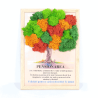 Tablou decorativ cu mesaj de pensionare-Felicitări pentru o carieră deosebită!