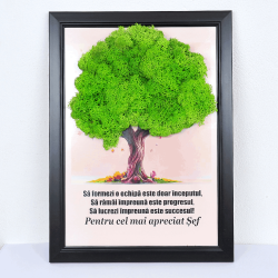 Tablou cu Licheni...